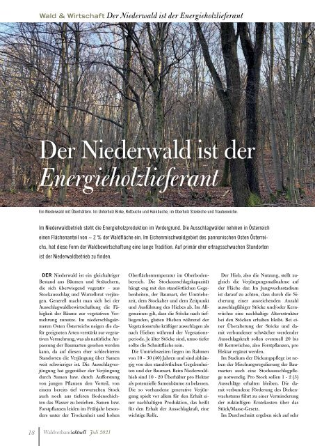 Waldverband aktuell - Ausgabe 2021-03