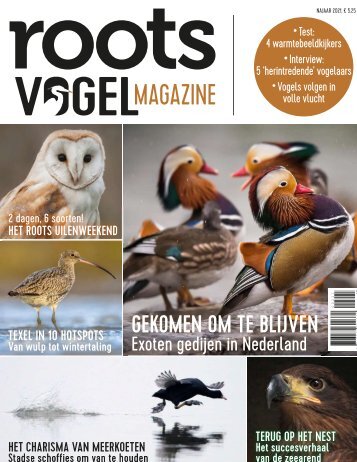 Inkijkexemplaar Roots vogelmagazine 2-2021