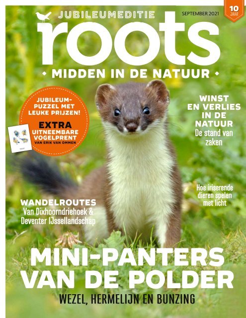 Inkijkexemplaar Roots 9-2021 en Vogelmagazine 2-2021