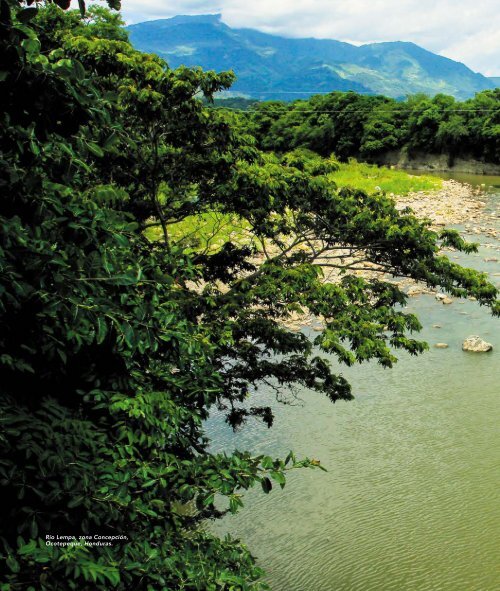 Río Lempa: Riqueza y Majestuosidad