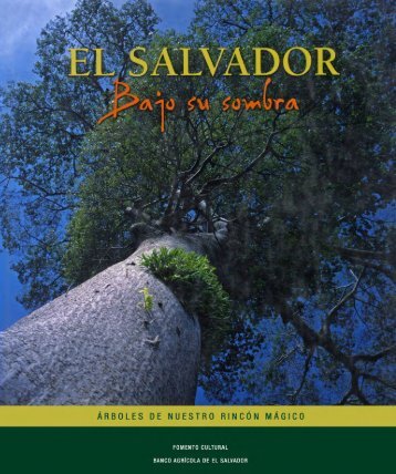 El Salvador: Bajo Su Sombra