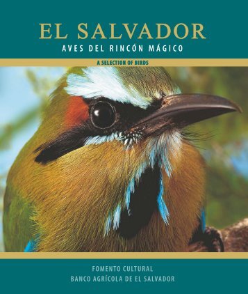 El Salvador: Aves del Rincón Mágico