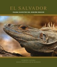 El Salvador: Fauna Silvestre del Rincón Mágico