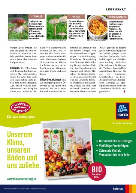 Weekend Magazin Vorarlberg 2021 KW 33