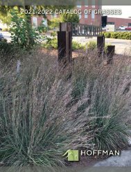 2021-2022 Hoffman Nursery Catalog of Grasses