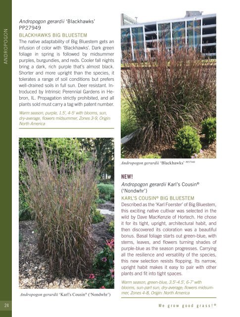 2021-2022 Hoffman Nursery Catalog of Grasses