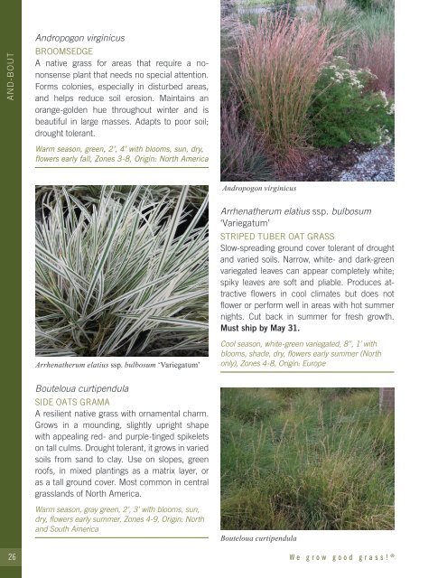 2021-2022 Hoffman Nursery Catalog of Grasses