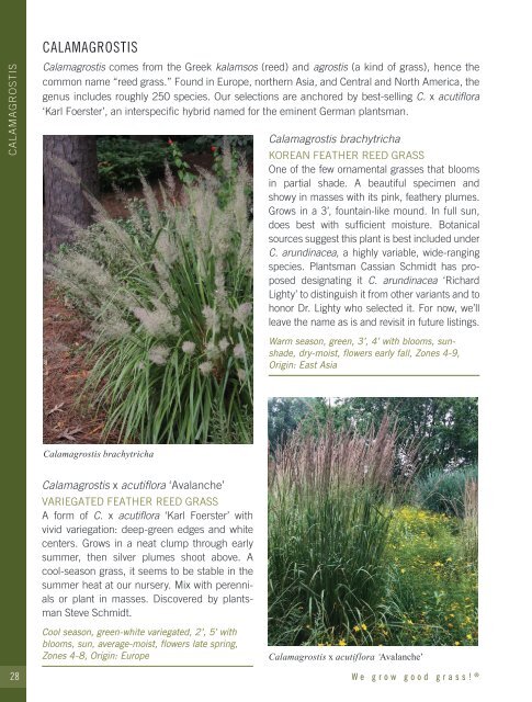 2021-2022 Hoffman Nursery Catalog of Grasses