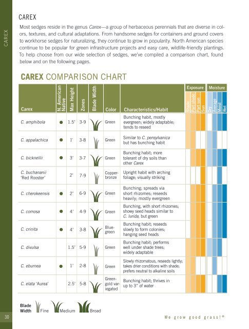 2021-2022 Hoffman Nursery Catalog of Grasses