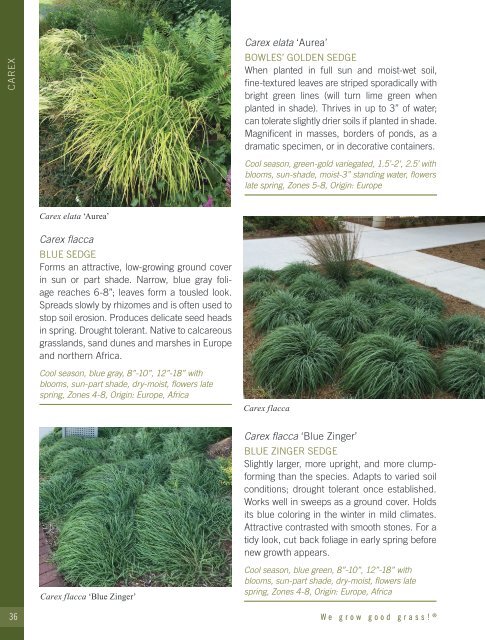 2021-2022 Hoffman Nursery Catalog of Grasses