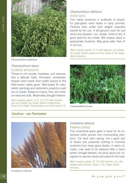 2021-2022 Hoffman Nursery Catalog of Grasses