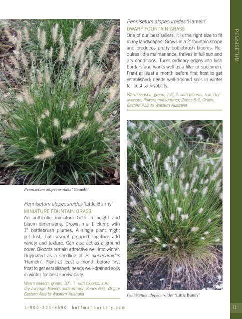 2021-2022 Hoffman Nursery Catalog of Grasses