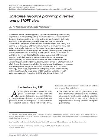 Enterprise resource planning: a review and a STOPE view