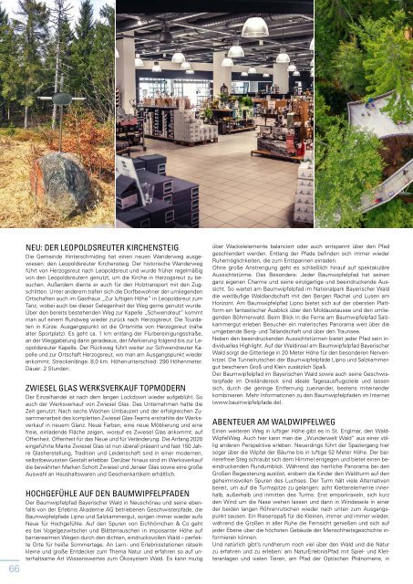 Erlebnismagazin WALDgeist Sommer 2021