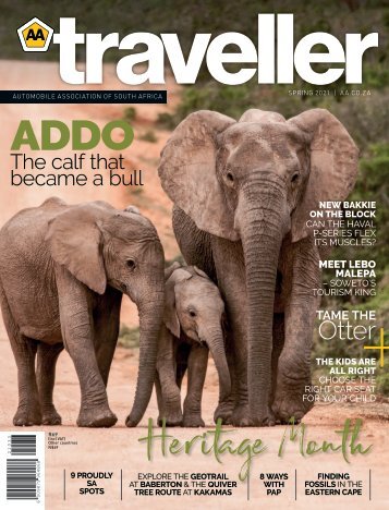 AA TRAVELLER Spring 2021