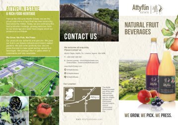 Attyflin Natural Fruit Beverages