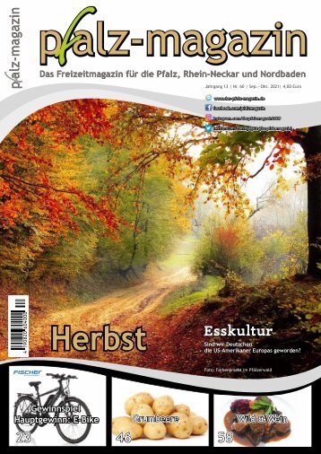 pfalz-magazin Herbst 13-60