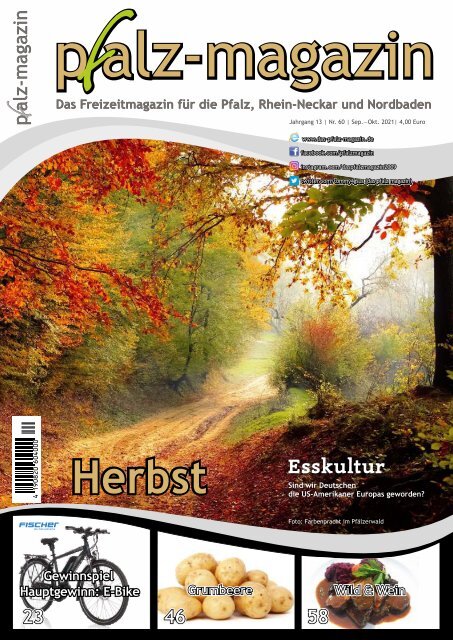 pfalz-magazin Herbst 13-60