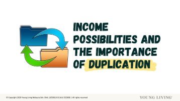 Income Possibilities And The Importance Of Duplication