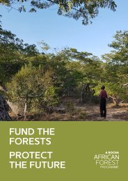 Fund the Forests: Protect the Future