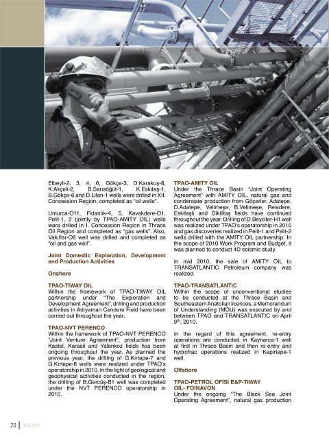 2010 Annual Report - TPAO