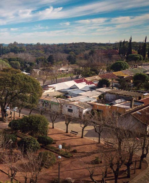 Conchillas Patrimonio Vivo