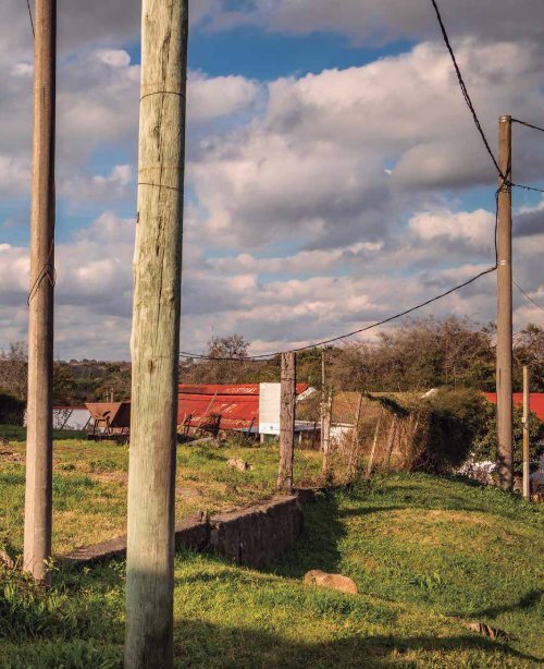 Conchillas Patrimonio Vivo