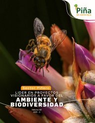 Revista Piña de Costa Rica Edición 39