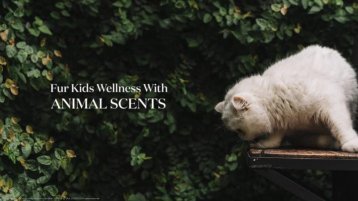 Aroma Wellness: Furkids Wellness With Animal Scents