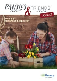 Pansies & Friends_JP