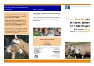 Vervoer van schapen, geiten en hertachtigen - DGZ