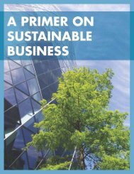 A Primer on Sustainable Business, 2012a