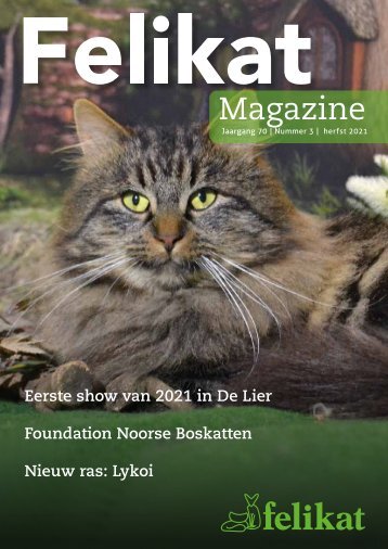 Felikat 5628 magazine 3 WEB