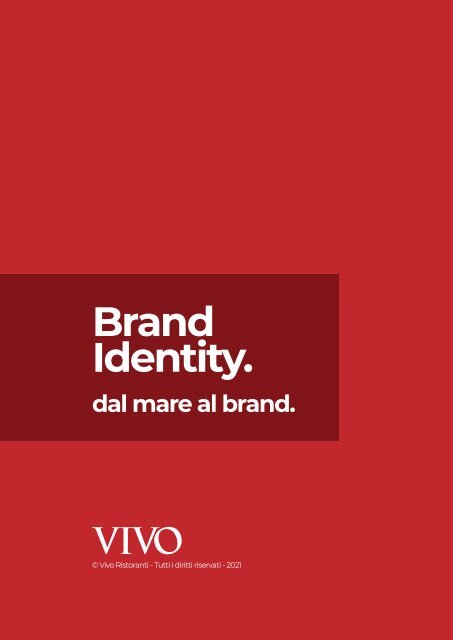 BRAND IDENTITY VIVO