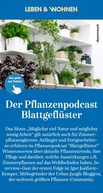 #Ausgabe KW 37