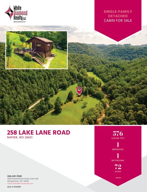 258 Lake Lane Road Marketing Flyer