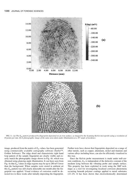 Latent fingerprint detection using a scanning Kelvin ... - Library