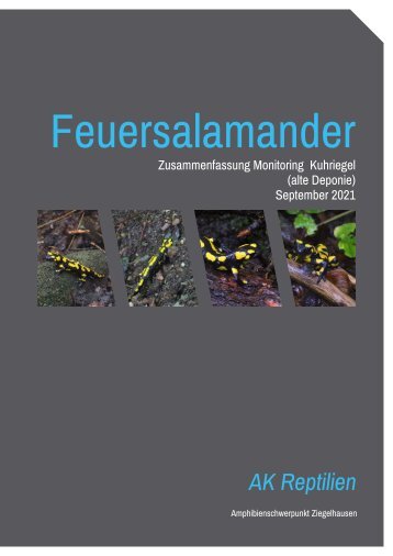 09_September_Monitoring Salamander_Kuhriegel