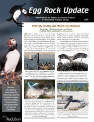Maine - Project Puffin - National Audubon Society
