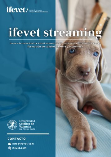 Ifevet Streaming