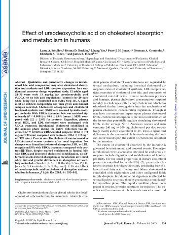Effect of ursodeoxycholic acid on cholesterol absorption and ...