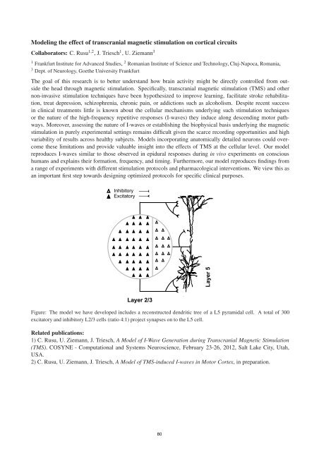 FIAS Scientific Report 2011 - Frankfurt Institute for Advanced Studies ...