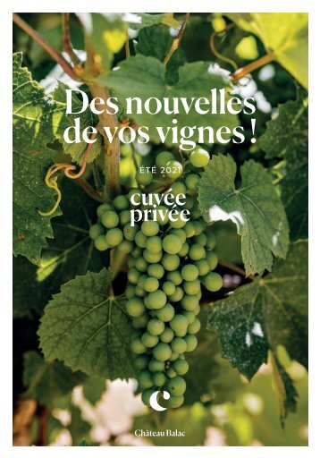 CP_GAZETTE_VIGNE_CHATEAU_BALAC