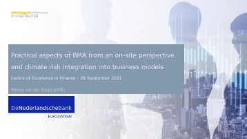 Presentation BMA CEF - Michiel van der Staaij