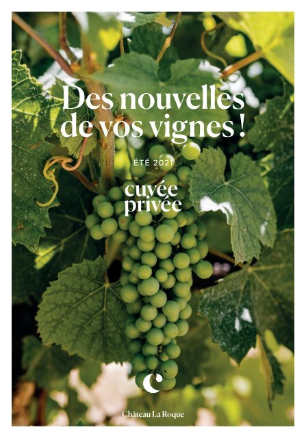 CP_GAZETTE_VIGNE_DOMAINE_CHATEAU_LAROQUE