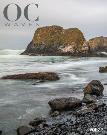 Oregon Coast Waves - 2-2