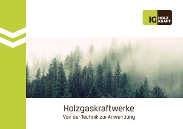 Infobroschüre "Holzgaskraftwerke - von der Technik zur Anwendung"