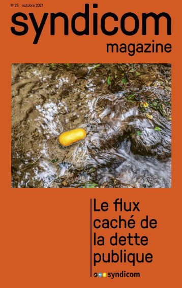 syndicom magazine N° 25 ¦ Le flux caché de la dette publique