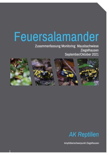 09_September_Monitoring Salamander_Mausbach