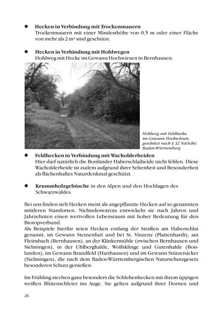 Natur- und Umweltschutz Filderstadt - Stadt Filderstadt